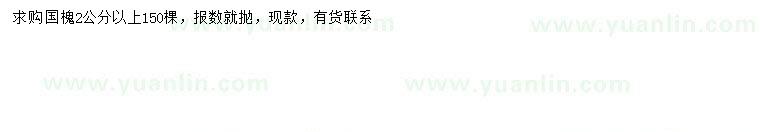 求購2公分以上國槐