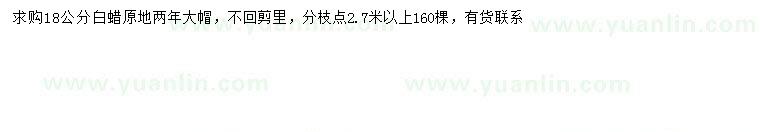 求購(gòu)18公分白蠟