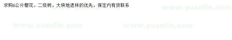 求購6公分櫻花