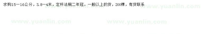 求購15-16公分法桐