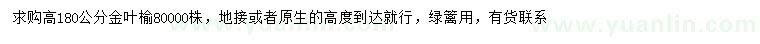 求購高180公分金葉榆