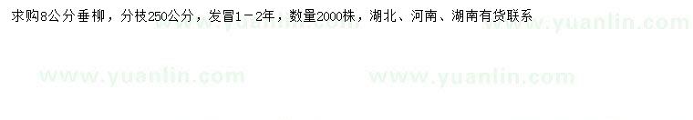 求購(gòu)8公分垂柳