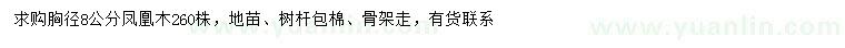 求購(gòu)胸徑8公分鳳凰木