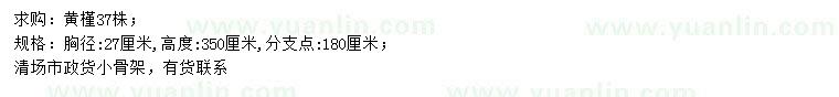 求購胸徑27公分黃槿