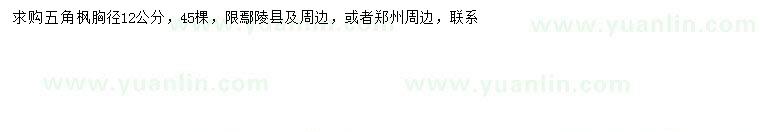 求購(gòu)胸徑12公分五角楓