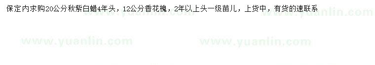 求購20公分秋紫白蠟