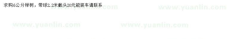 求購(gòu)6公分櫸樹(shù)