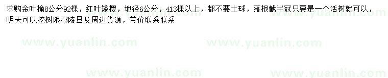 求購8公分金葉榆、地徑6公分紅葉矮櫻