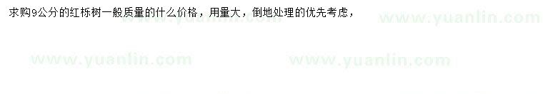 求購(gòu)9公分紅櫟