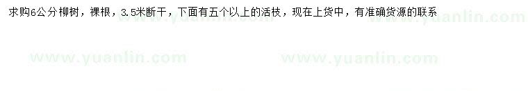 求購6公分柳樹