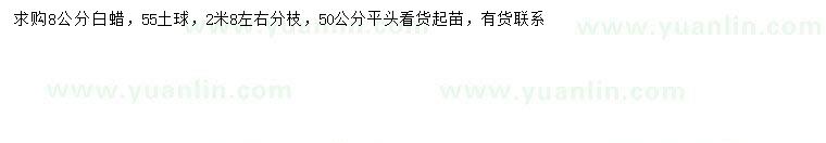求購8公分白蠟