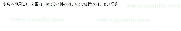 求購10公分樸樹、8公分紅櫸