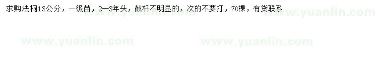 求購13公分法桐