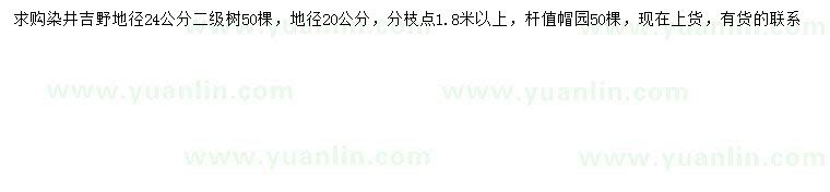 求購地徑20、24公分染井吉野櫻