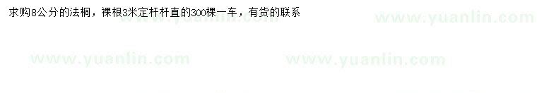 求購8公分法桐