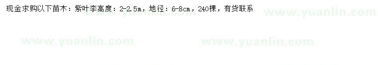 求購地徑6-8公分紫葉李