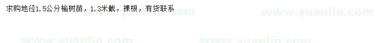 求購(gòu)地徑1.5公分榆樹(shù)