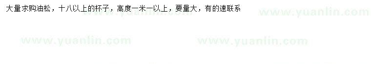 求購高1.1米以上油松