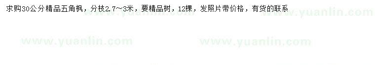 求購30公分五角楓