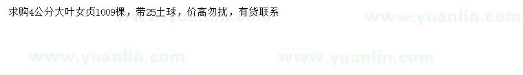 求購(gòu)4公分大葉女貞