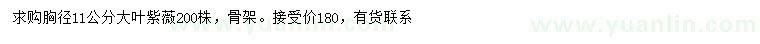 求購胸徑11公分大葉紫薇