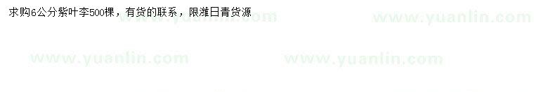 求購6公分紫葉李