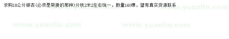 求購18公分銀杏