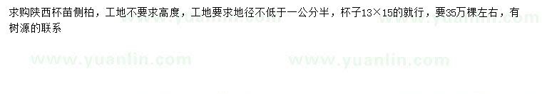 求購地徑1.5公分以上側(cè)柏