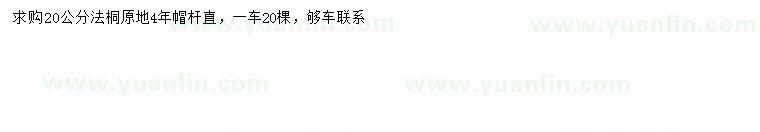 求購20公分法桐