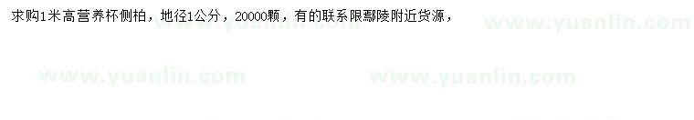 求購(gòu)高1米側(cè)柏