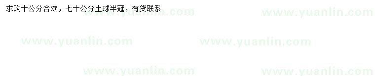 求購10公分合歡