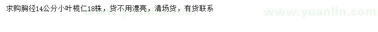 求購胸徑14公分小葉欖仁