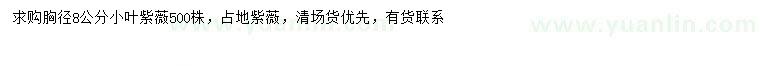 求購 胸徑8公分小葉紫薇