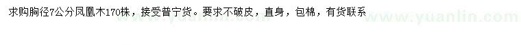 求購胸徑7公分鳳凰木