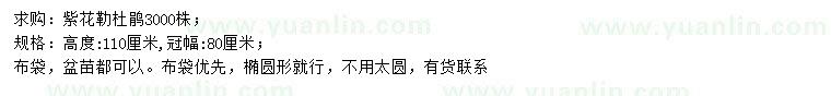 求購高110公分紫花勒杜鵑