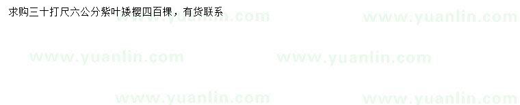 求購(gòu)30量6公分紫葉矮櫻