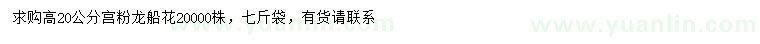求購(gòu)高20公分宮粉龍船花