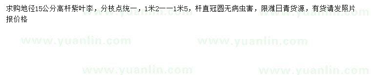 求購(gòu)地徑15公分高桿紫葉李