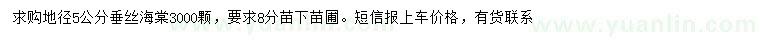 求購地徑5公分垂絲海棠