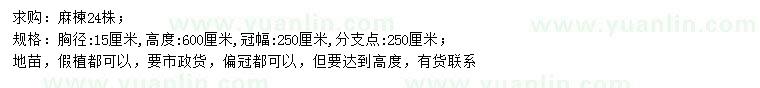 求購胸徑15公分麻楝