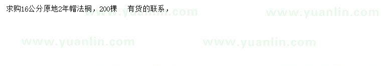 求購16公分法桐