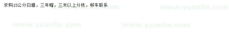 求購15公分白蠟