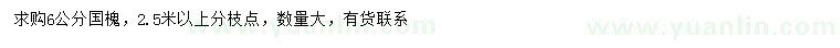 求購6公分國槐