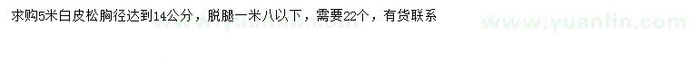 求購(gòu)5米白皮松