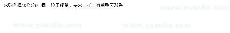 求購(gòu)10公分香樟