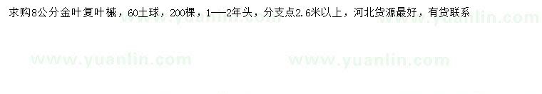 求購8公分金葉復(fù)葉槭