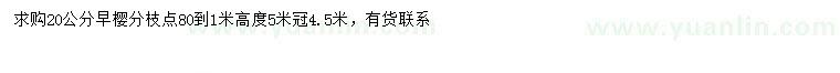 求購20公分早櫻