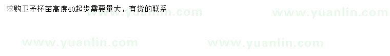 求購(gòu)高40公分以上衛(wèi)矛