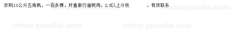 求購10公分五角楓