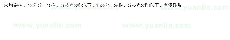 求購15、18公分欒樹